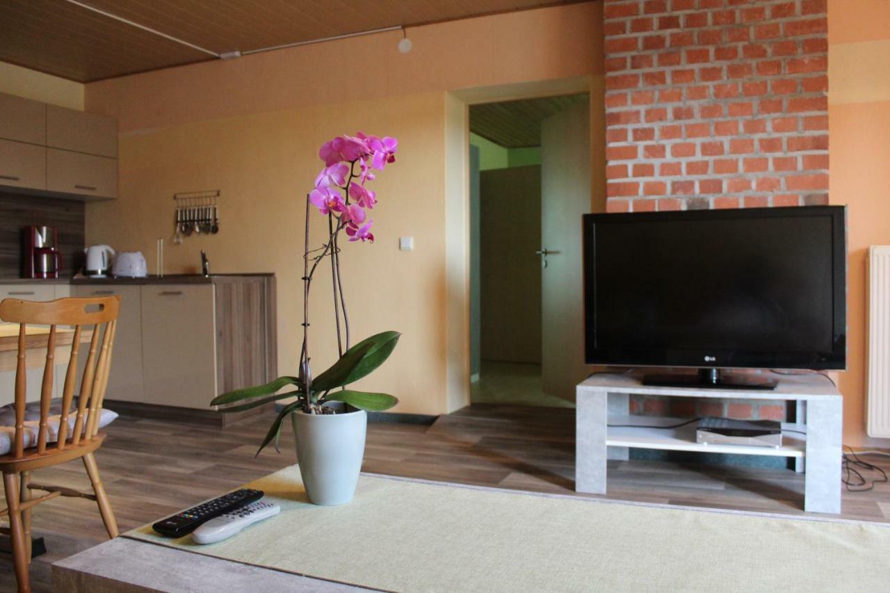 Ferienwohnung Im Gruenen Diesbar-Seusslitz Экстерьер фото